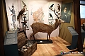 VBS_0944 - Riapre il Museo di Scienze Naturali dopo dieci anni di chiusura